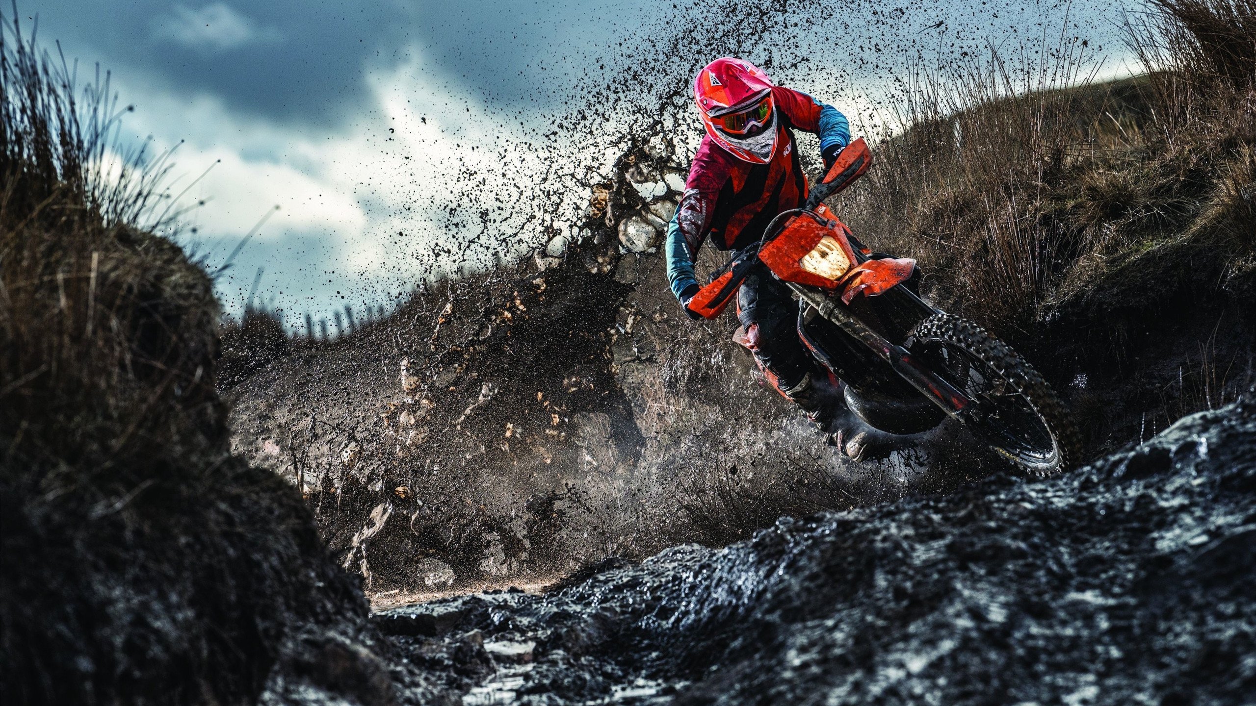 赛车手的训练天幕后：体能与心理训练揭秘，赛车手体能训练内容